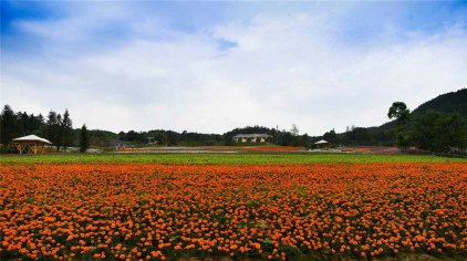 万州凤凰花果山门票