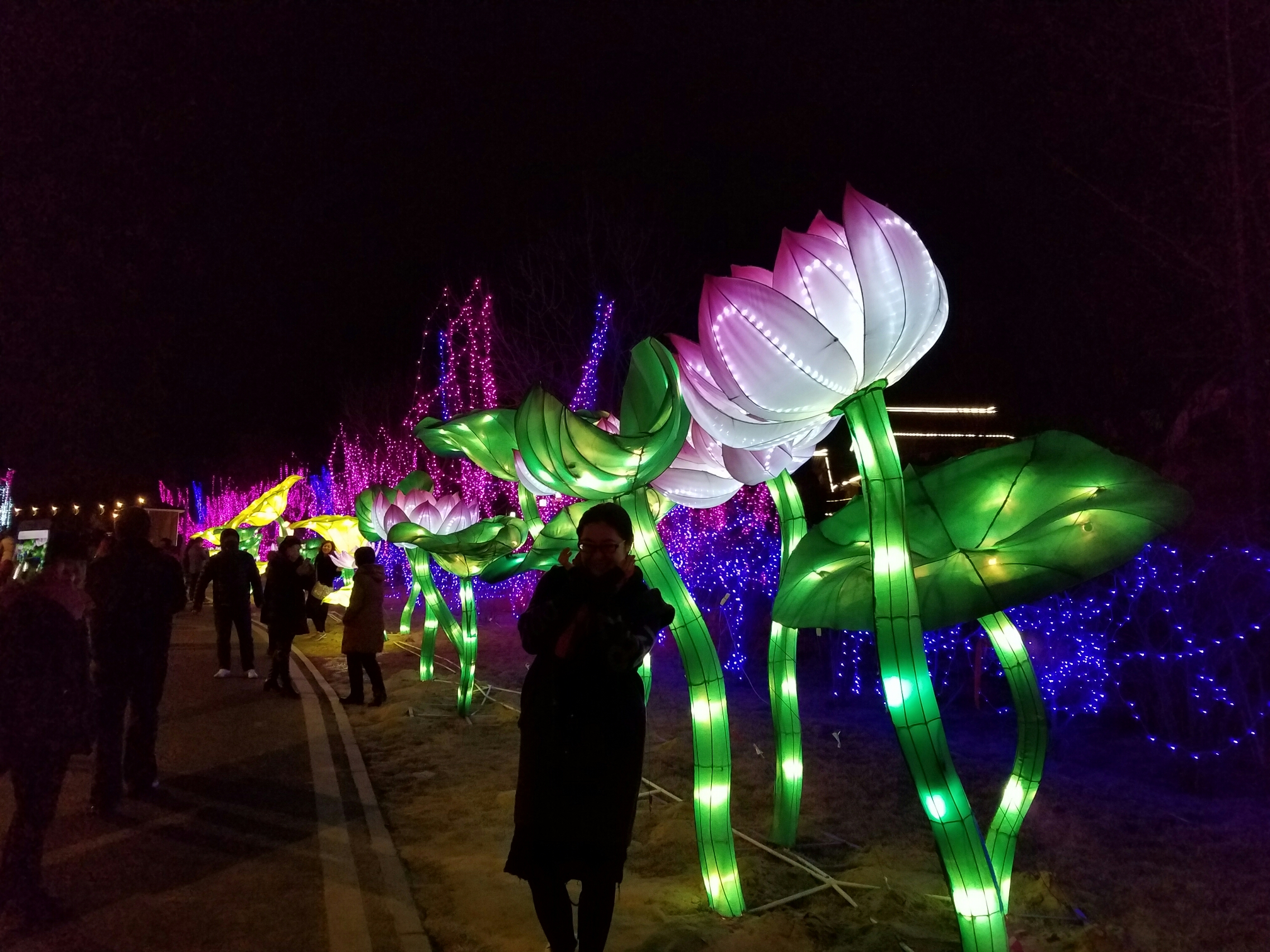 南湖元宵节花灯