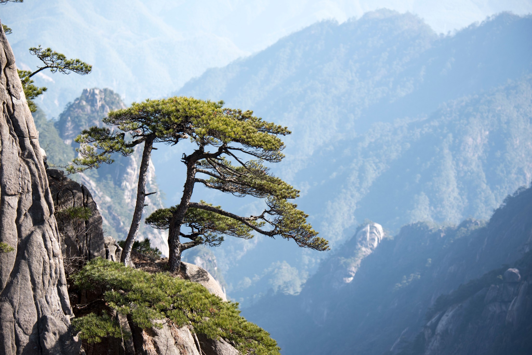 钟子难逢谁识我,高山流水慕知音.