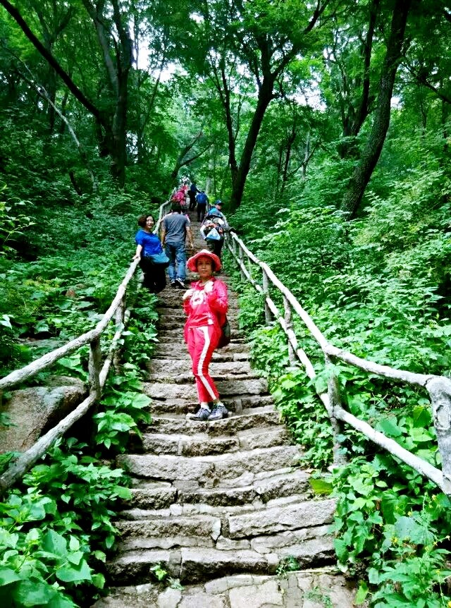 地区广为人知的红色旅游风景区。 三块石国家森林公园分为南部景区和北部景区,南部景区位于后安镇境内,北部景区位于汤图乡境内。公园内景观荟萃,南部景区有白龙潭瀑布、神龟出潭、鸽子洞、比丘洞等,北部景区有骆驼峰、小三块石、聚仙洞、镇山神塔、大三块石、三块石水库等,在山间还能欣赏到国家珍稀濒危木兰科植物-天女木兰。除自然风光外,公园内还有石棚洞、房框子、石碾子、暗堡和地窨等战争时期留下的抗联遗址,丰富的抗战遗迹是