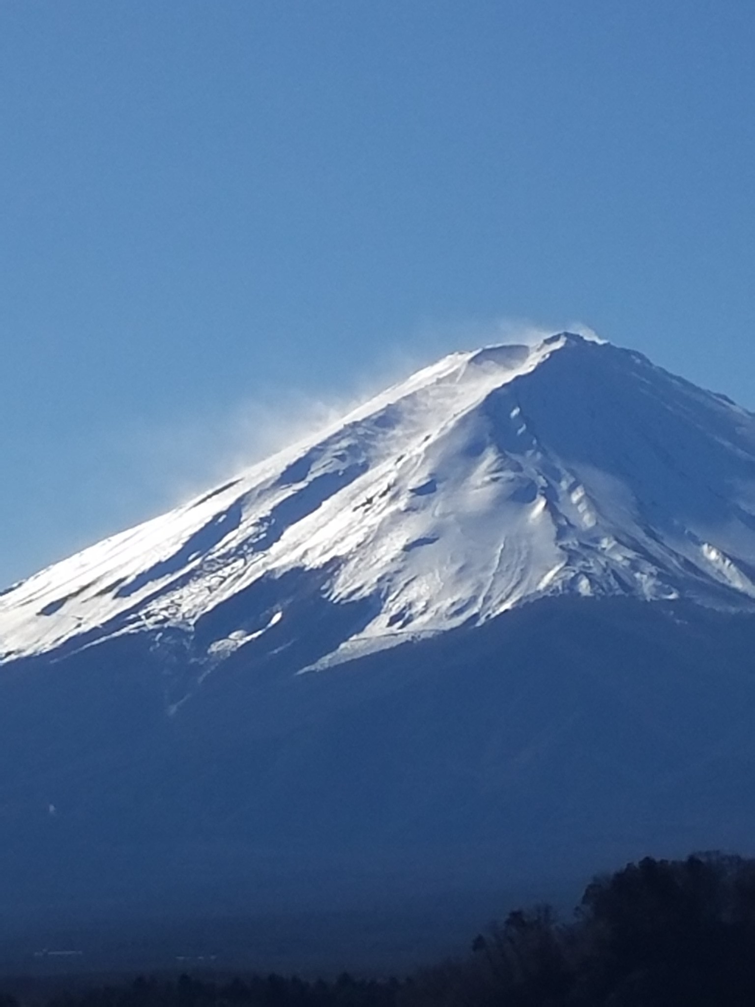 富士山          