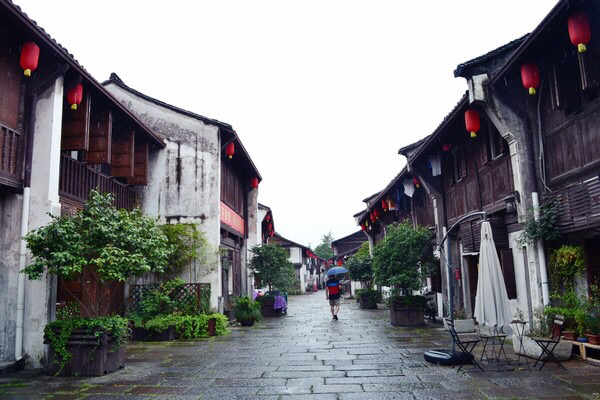 塘栖多少人口_塘栖古镇图片(3)