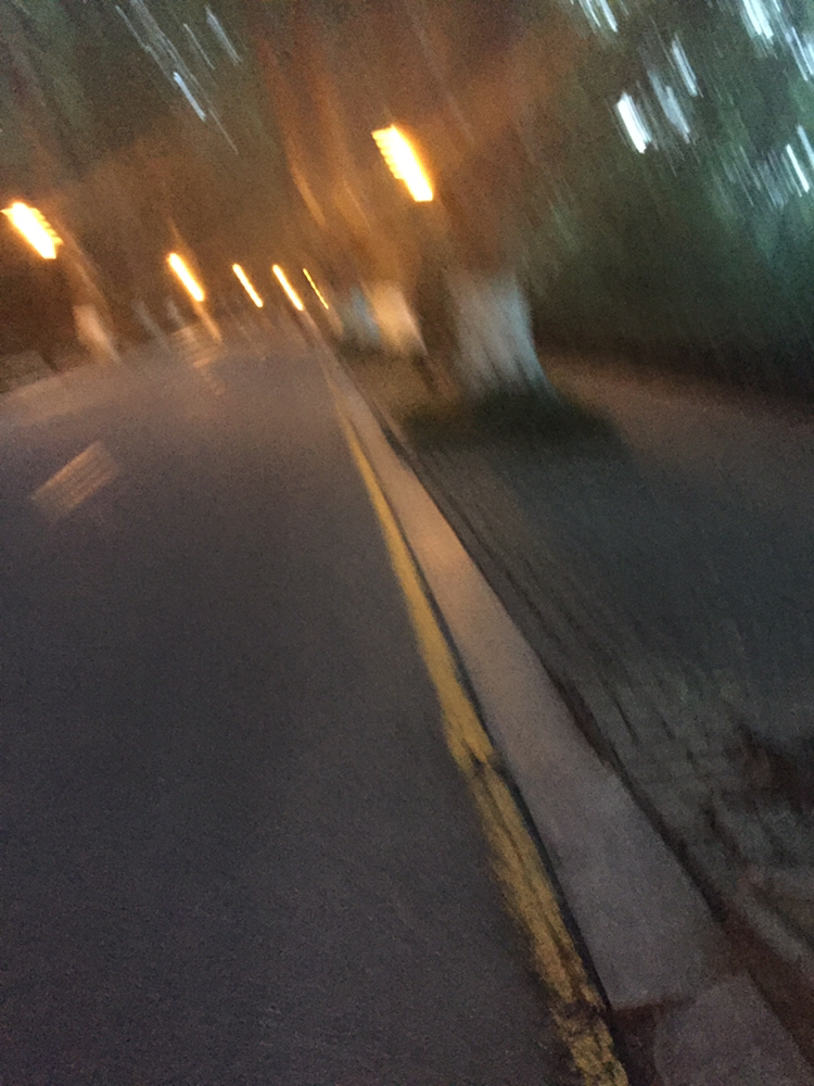 路上梧桐树根导致地面凸起考虑安全因素 建议天黑前骑行