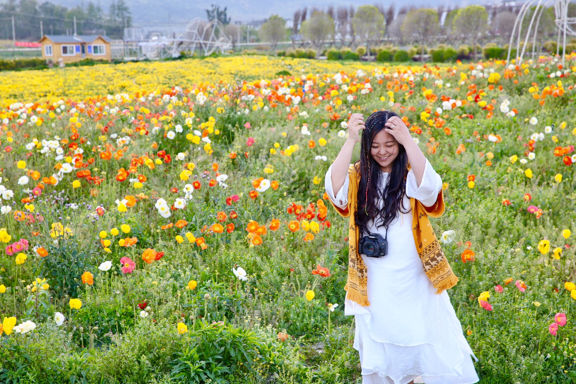 云海芳草          