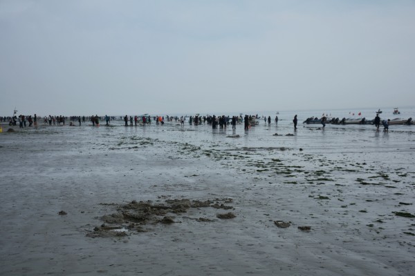 到北海,时间已近黄昏,从海上吹来的风给人心头清醒地一击,也消解了阴雨天气给人的沉闷,这种温暖尤其可贵。 阳光在层层迷雾中若隐若现,透过公交车的玻璃窗散了进来,迷离的气氛让人昏昏欲睡,涌上来的困意让我头脑有些发胀。拥挤的人群,喧嚣的人群,兴奋的人群,操着各种方言的人群,天南海北的人们汇聚到了这狭窄的空间,疲惫、忧伤、幸福、快乐人们的情绪被揉捏成一团暧昧的气氛,在浓浓的海风吹过后无限放大。而我只是担心着今天的天气,落日余晖断难看到了,只怕还要来场不合时宜的大雨。 天色阴沉,只有远处的天空有几抹极淡的嫩粉色,