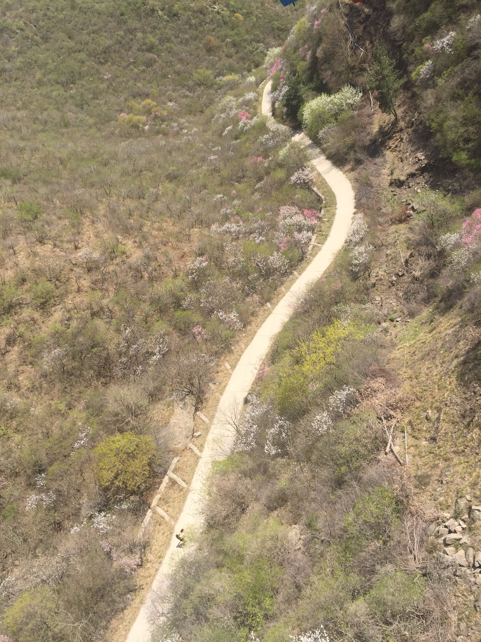 山高路远坑深 马蜂窝