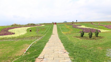 富川神仙湖花海门票