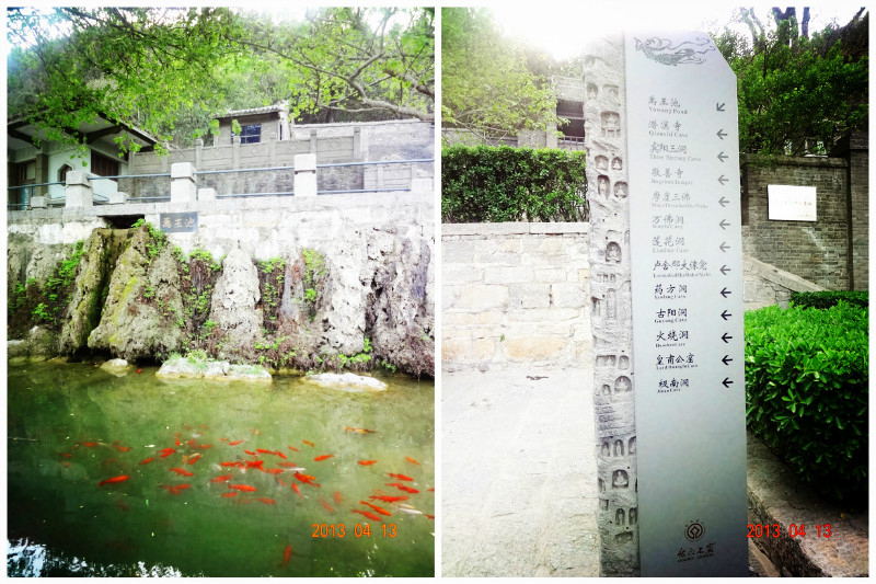 洛阳人口流出_洛阳牡丹(3)