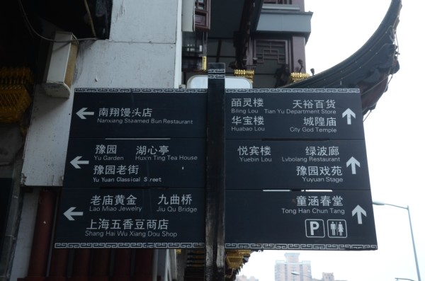 IA ONG的歌曲走在种满梧桐树的街头上好舒服,感觉完全不像是置身