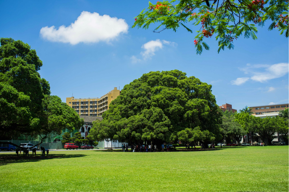 国立成功大学,简称成大,为中国台湾南部