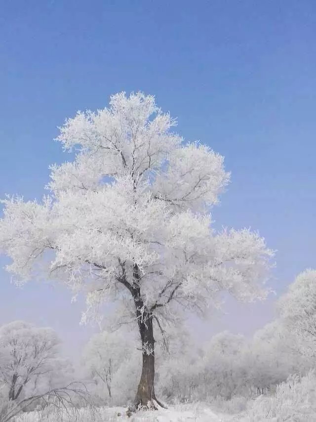 大雪纷飞东北最北——我的漠河雪中情之旅