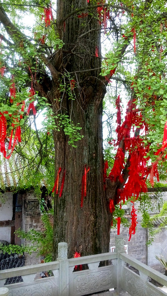 金堂云顶山风景区