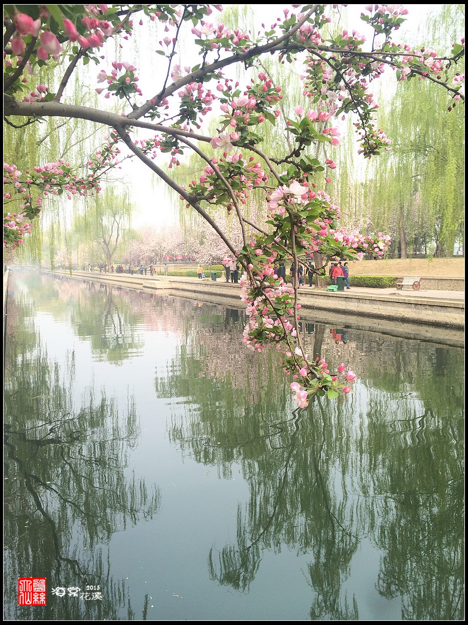 京城春天最美的河:海棠花溪,北京自助游攻略 - 马蜂窝