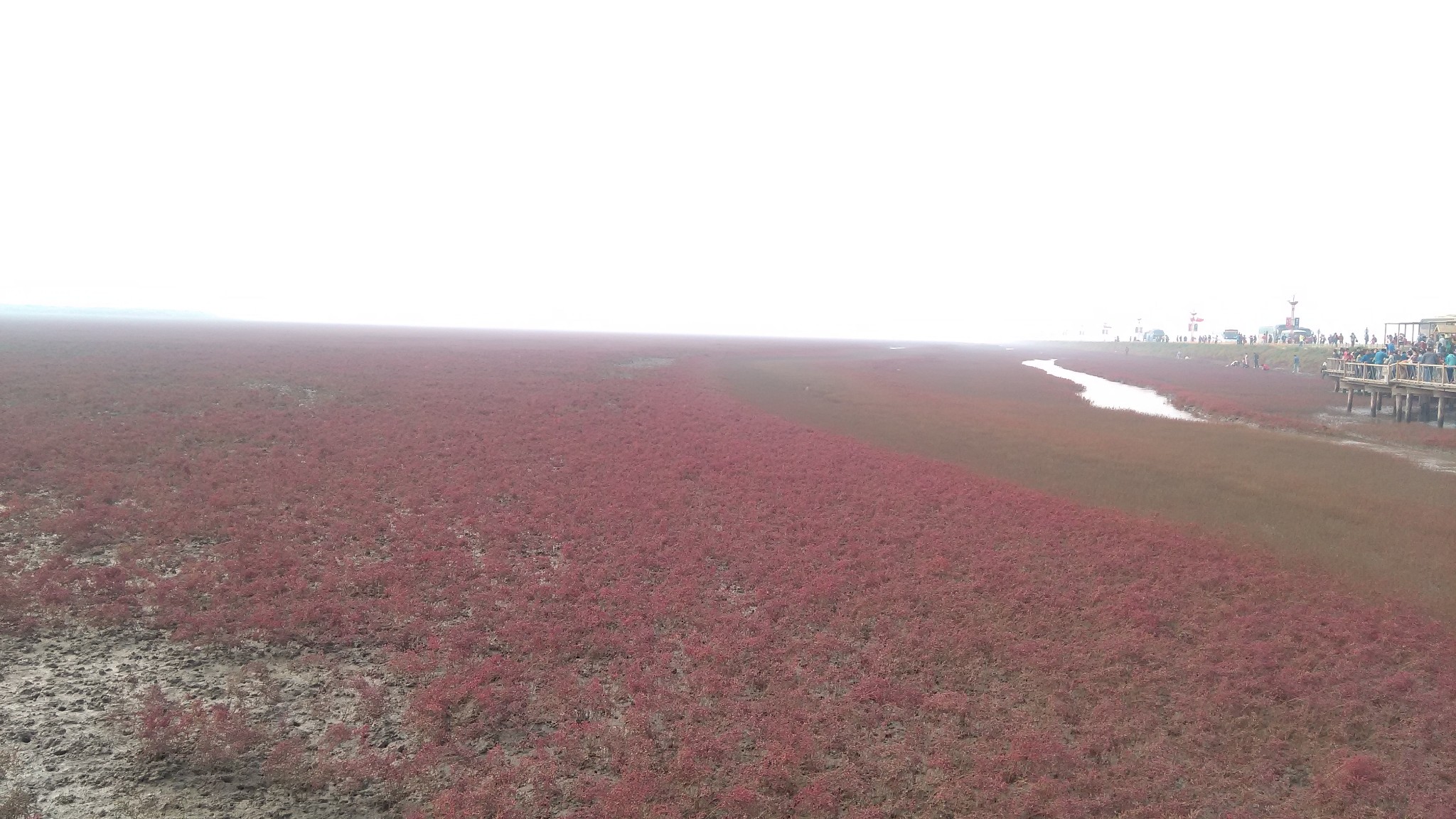 鲅鱼圈人口有多少人口_鲅鱼圈风景(2)