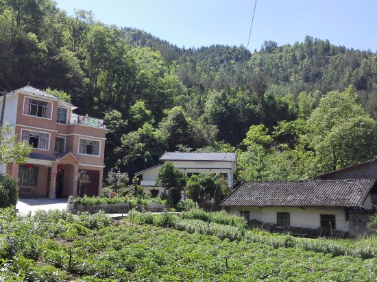 重庆竹林村农家乐价格_地址_图片_点评,大足重庆竹林村农家乐预订