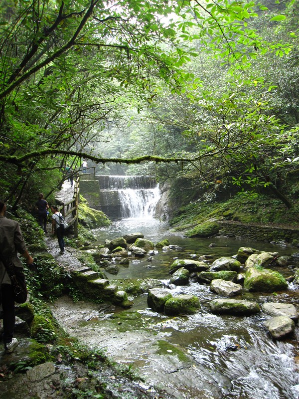 五峰后河原始生态旅游景区