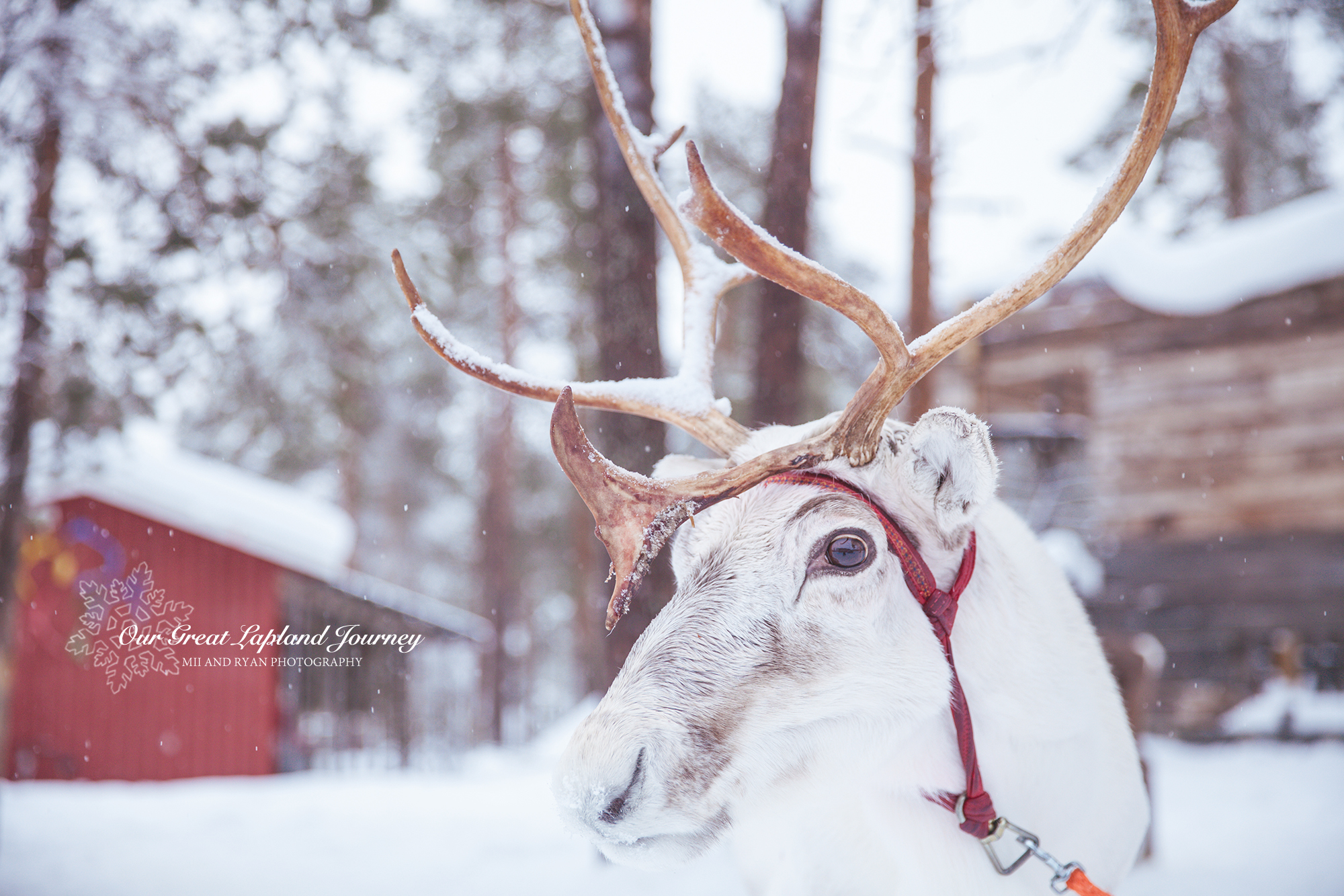 基蒂莱周边游,基蒂莱周边游景点,基蒂莱周边旅
