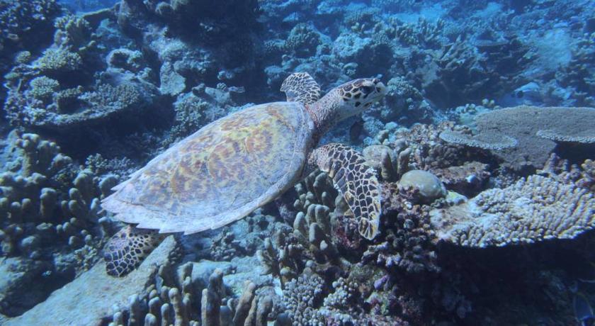 【马尔代夫天气】马尔代夫天气预报一周,马尔代夫天气预报