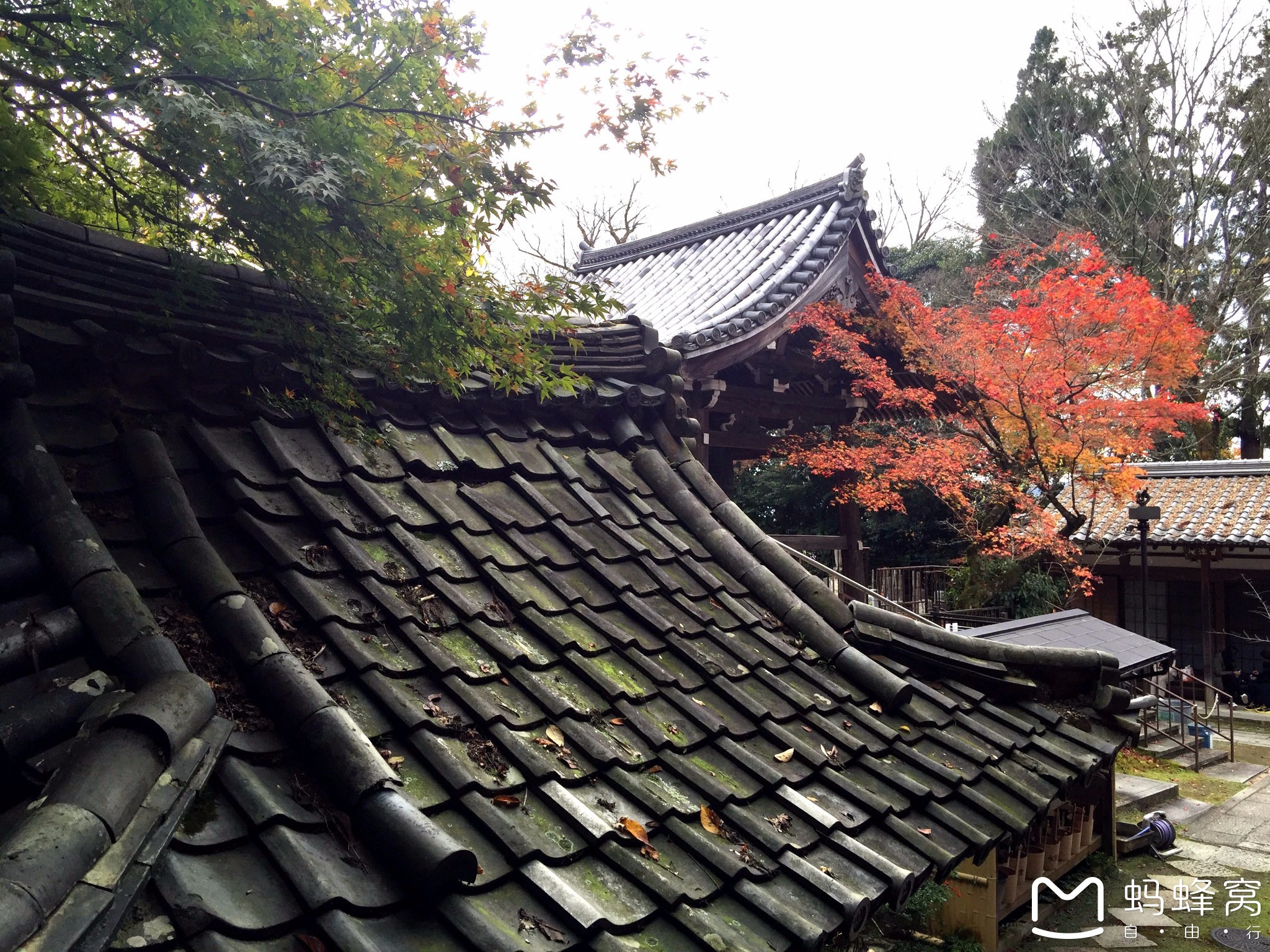 永观堂禅林寺