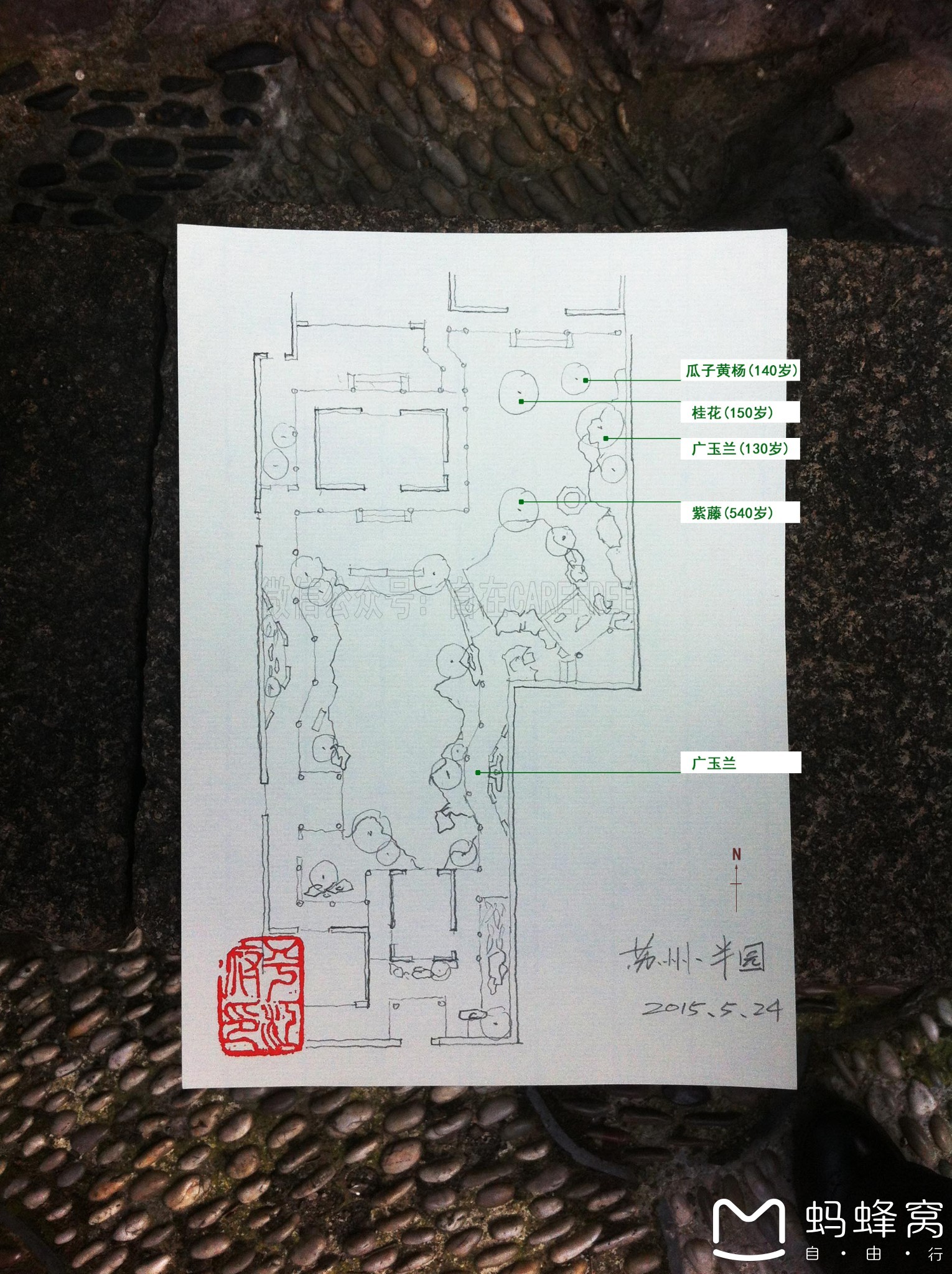 苏州半园:平江路旁的自在之地【自在carefree_川执笔】