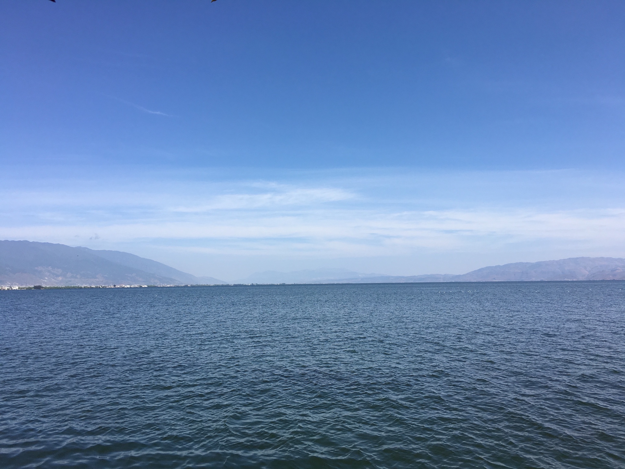 消费算不算拉动GDp_理性消费图片