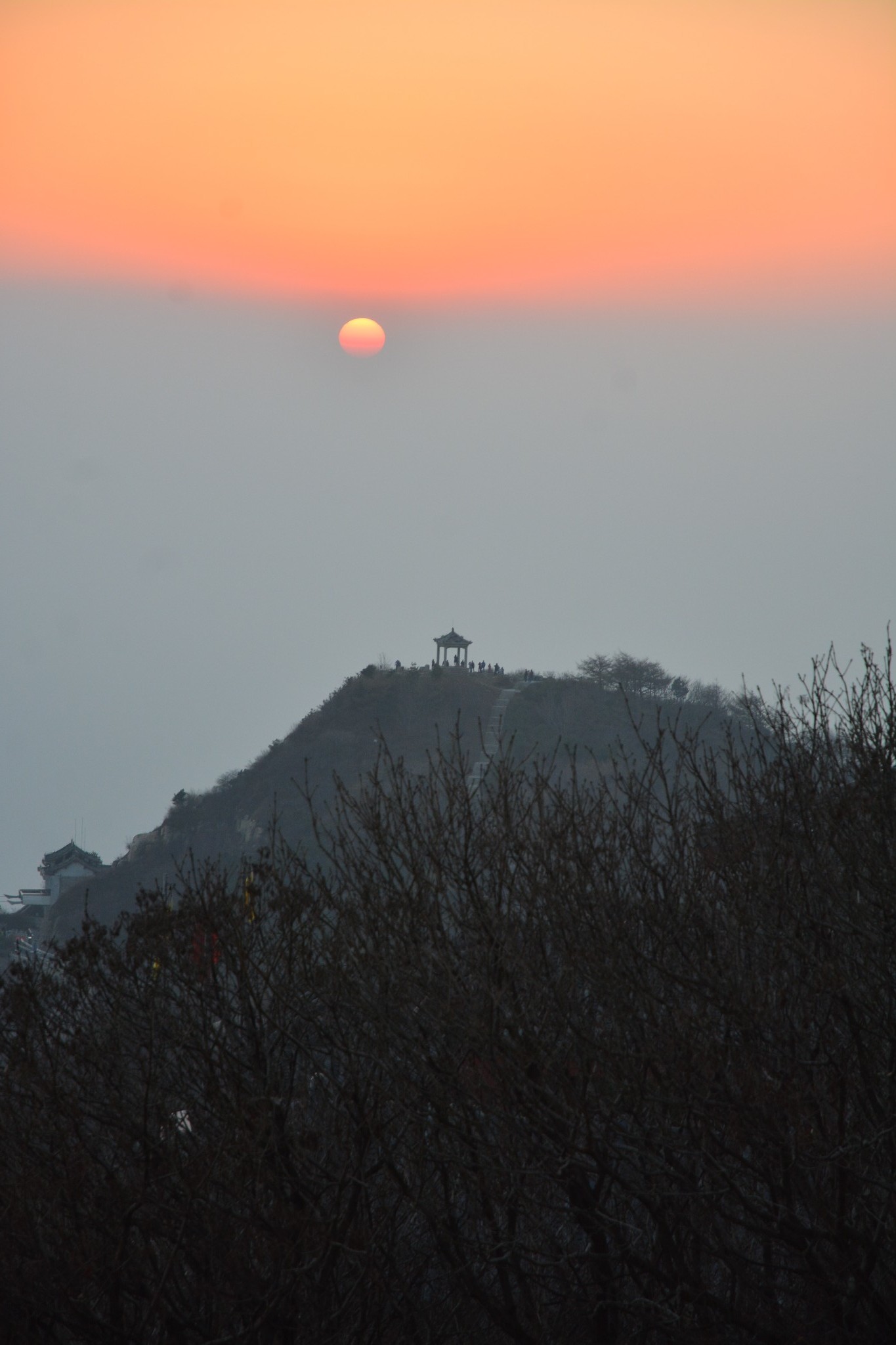 泰山城区人口_人口普查泰山府君