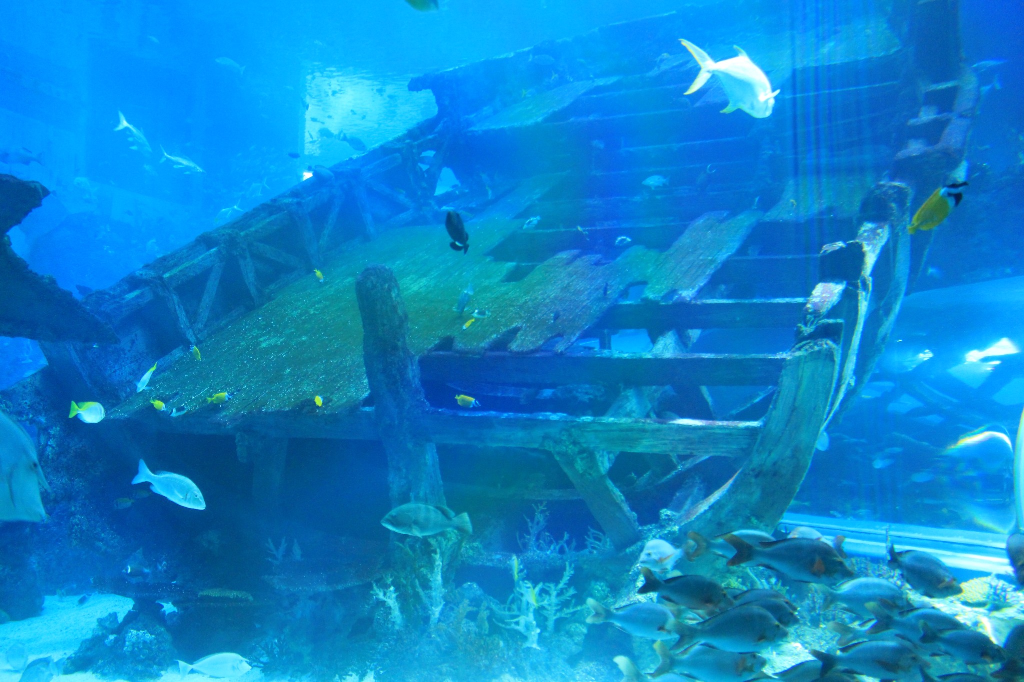 新加坡酒店_新加坡旅游景点_新加坡收入消费