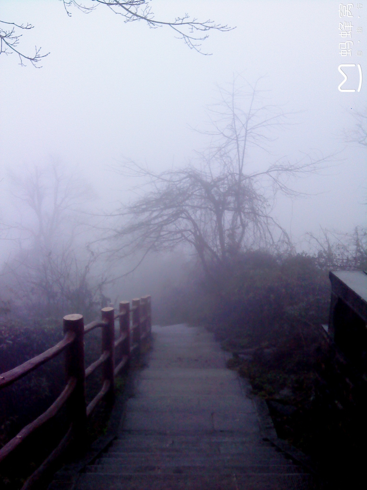 二零一一 常是清明游 雾雨雪中朦胧的峨眉天下秀