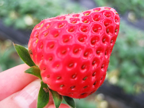 wKgBm04KBbTxjKggAACRI7S3T6042.jpeg?imageView2%2F2%2Fw%2F2000%2Fh%2F600%2Fq%2F90%7Cwatermark%2F1%2Fimage%2FaHR0cDovL2IyLXEubWFmZW5nd28ubmV0L3M5L00wMC82My84RS93S2dCczFaTmVzV0FZb29JQUFBU2JNMElpRjQyNDEucG5n%2Fgravity%2FSouthEast%2Fdx%2F20%2Fdy%2F20