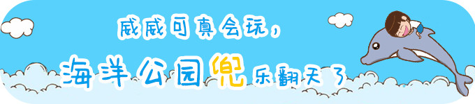 ♥威威可真会玩,海洋公园兜楽翻天了 ♥威威可真会玩,海洋公园兜楽翻天了