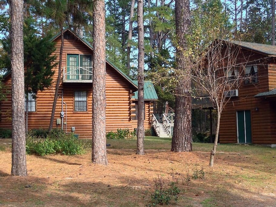 beautiful upscale cabin in the wood