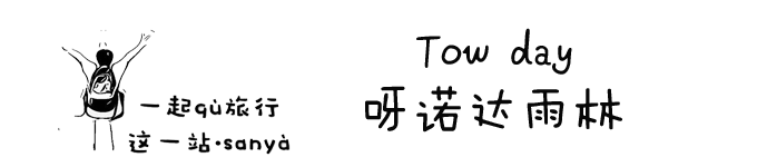 tow day 呀诺达雨林 tow day 呀诺达雨林