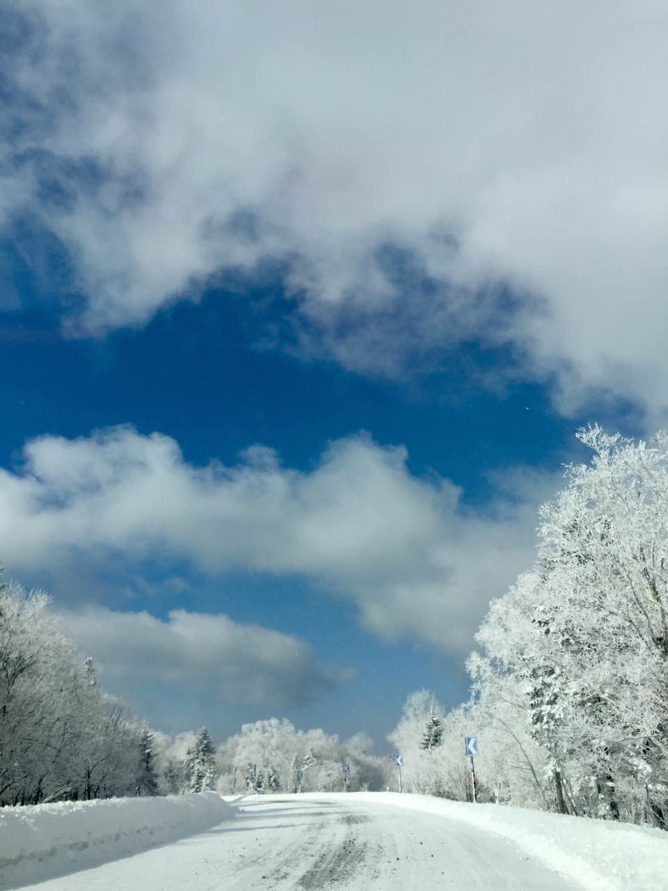 成语什么雪皑皑_有关雪的成语大全(2)
