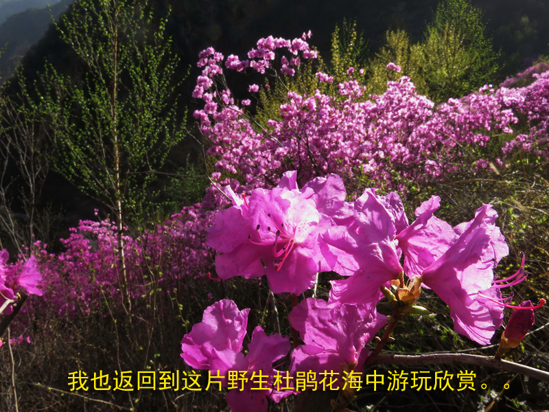 wKgBZ1j4nb2AVsi1AAaqsYS60uo85.jpeg?imageView2%2F2%2Fw%2F680%2Fq%2F90