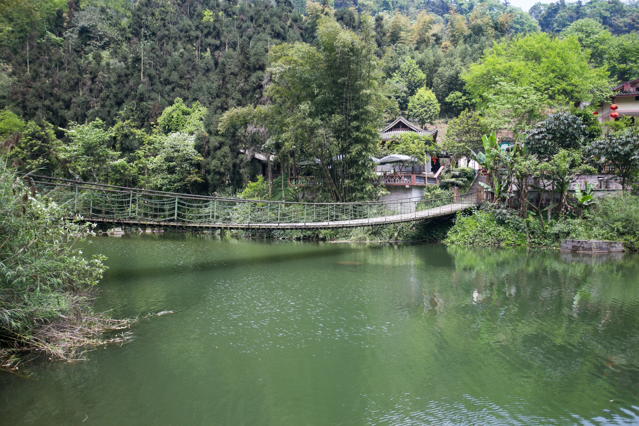 清音平湖是峨眉山的一处自然景观一群学生在