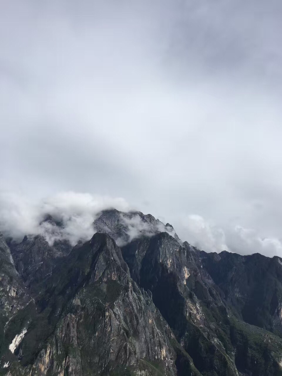 天义镇人口_人口普查(3)
