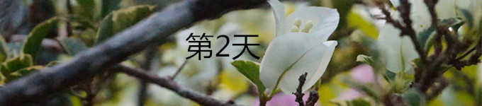 2 2