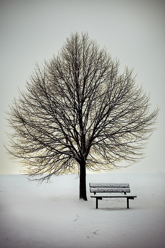 长椅拍照姿势公园 wKgBpU6STVH0vOgkAAGzRAHGkwk38.jpeg?imageView2%2F2%2Fw%2F680%2Fq%2F90