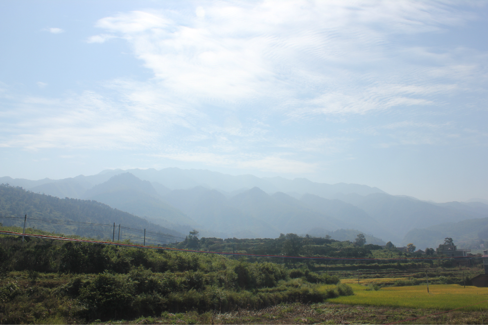 wKgB21BW0m7DaidUAAmx87Gl3iM08.jpeg?imageView2%2F2%2Fw%2F600%2Fq%2F90