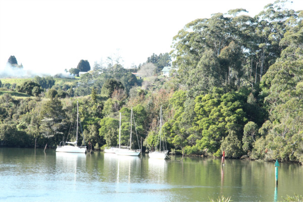 新西兰自由行全攻略