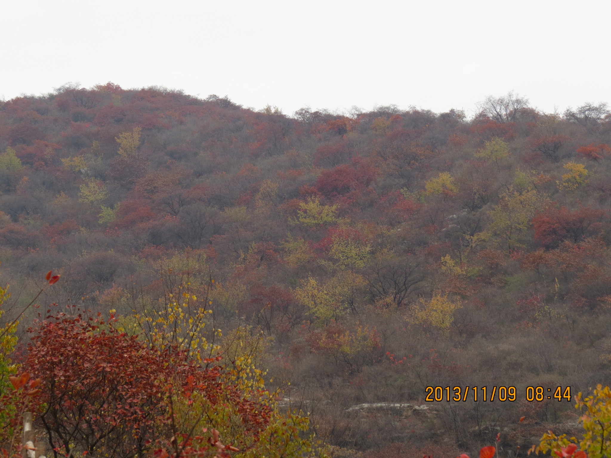wKgB4lJ_ffGAbJ2_AAqUh3s5C9435.jpeg?imageView2%2F2%2Fw%2F600%2Fq%2F90