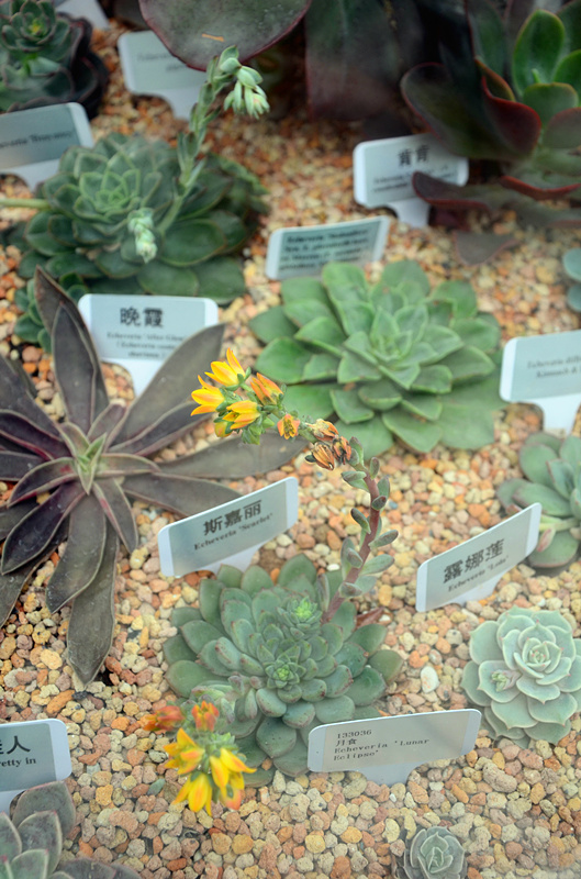 wKgB4lL5-FGAYoxRAARV1g0JmOQ81.jpeg?imageView2%2F2%2Fw%2F600%2Fq%2F90