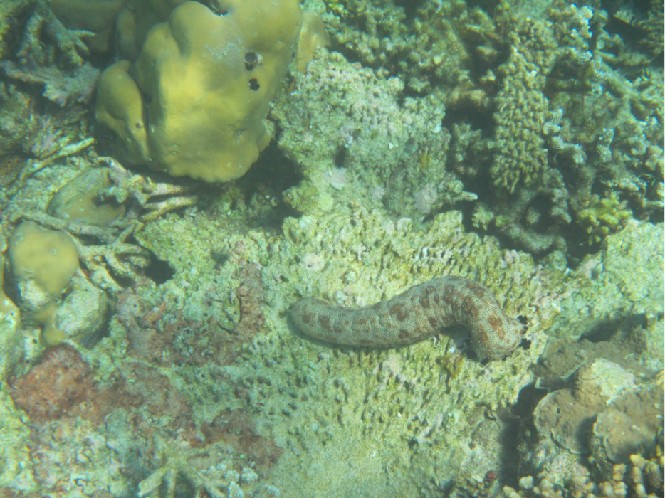 wKgB4lJSLMaAECqXAA_eBy62GKs52.jpeg?imageView2%2F2%2Fw%2F600%2Fq%2F90