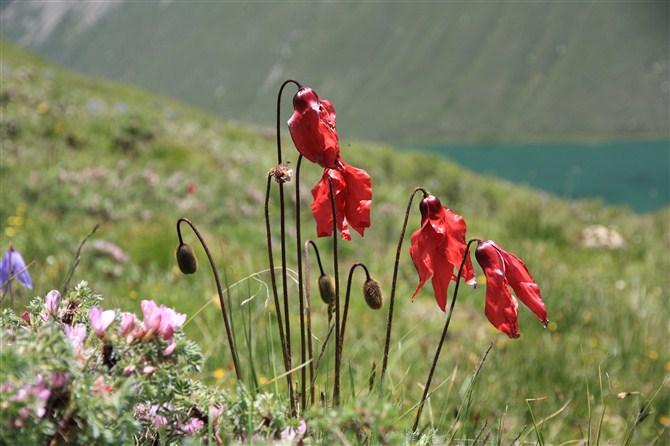 湖光什么什么成语_湖光山色成语画笔简图(2)