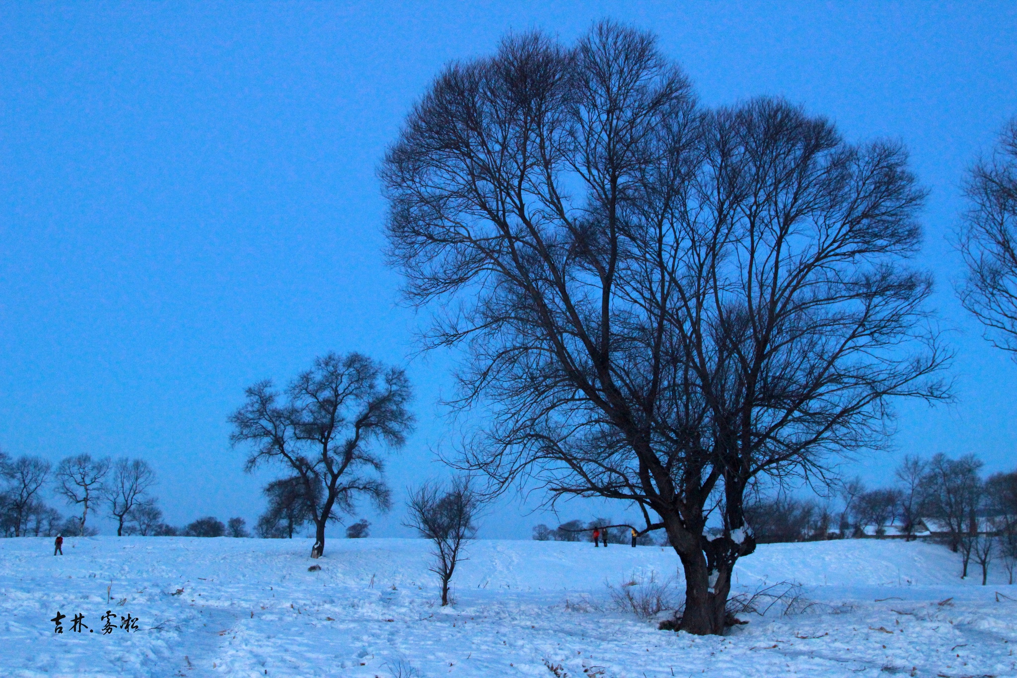 wKgB6lUFHUSAF9uWABZrmUz946Q36.jpeg?imageView2%2F2%2Fw%2F680%2Fq%2F90