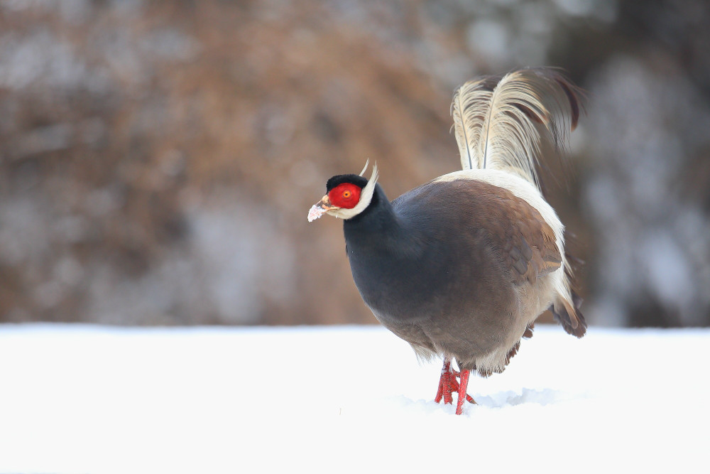 wKgB6lT1GZiAXPuRAAHmbbVJ6sk07.jpeg?imageView2%2F2%2Fw%2F600%2Fq%2F90