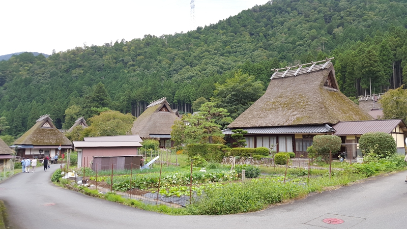 福知山人口_人口普查(2)