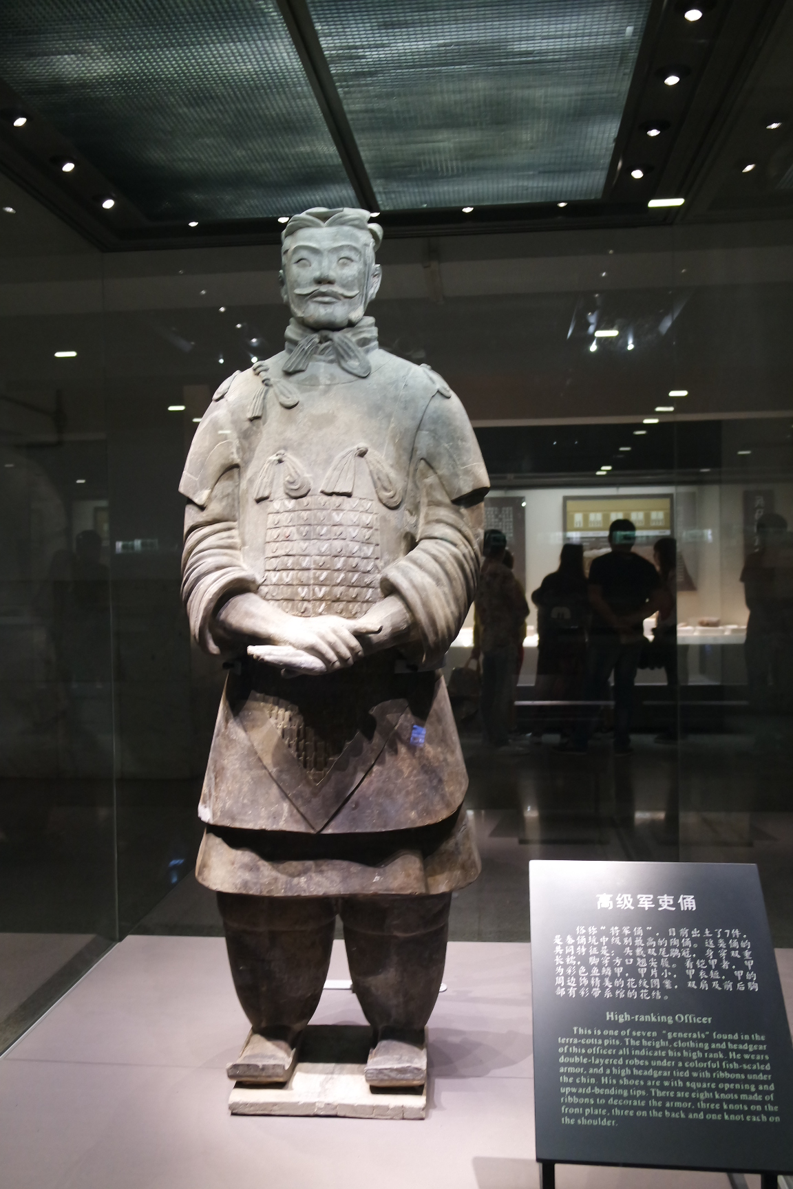 杨趾什么成语_趾疣是什么样子图片