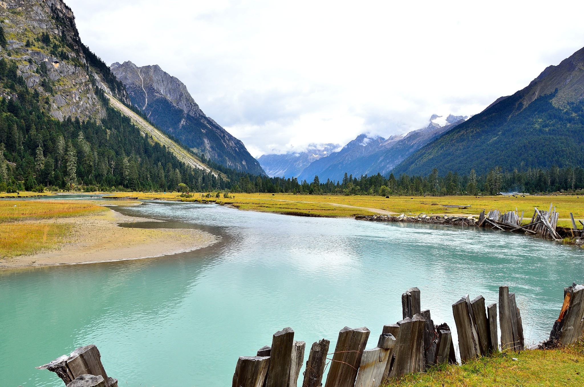 wKgBpVYZKvGAe1t_AA_W-6CLyds00.jpeg?imageView2%2F2%2Fw%2F600%2Fh%2F600%2Fq%2F90