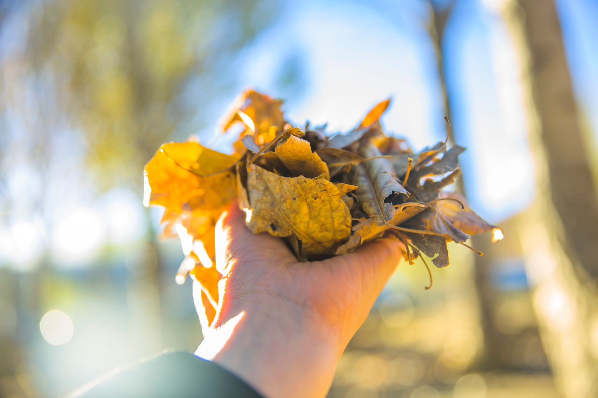 2016深秋一家三口(新都桥)稻城亚丁自驾游游记